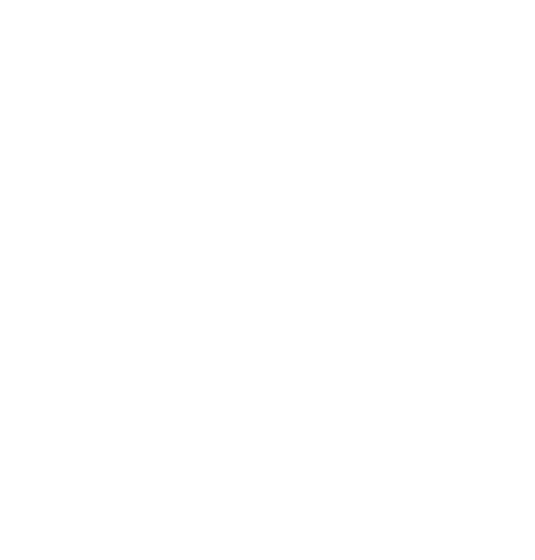 VDM logo - white